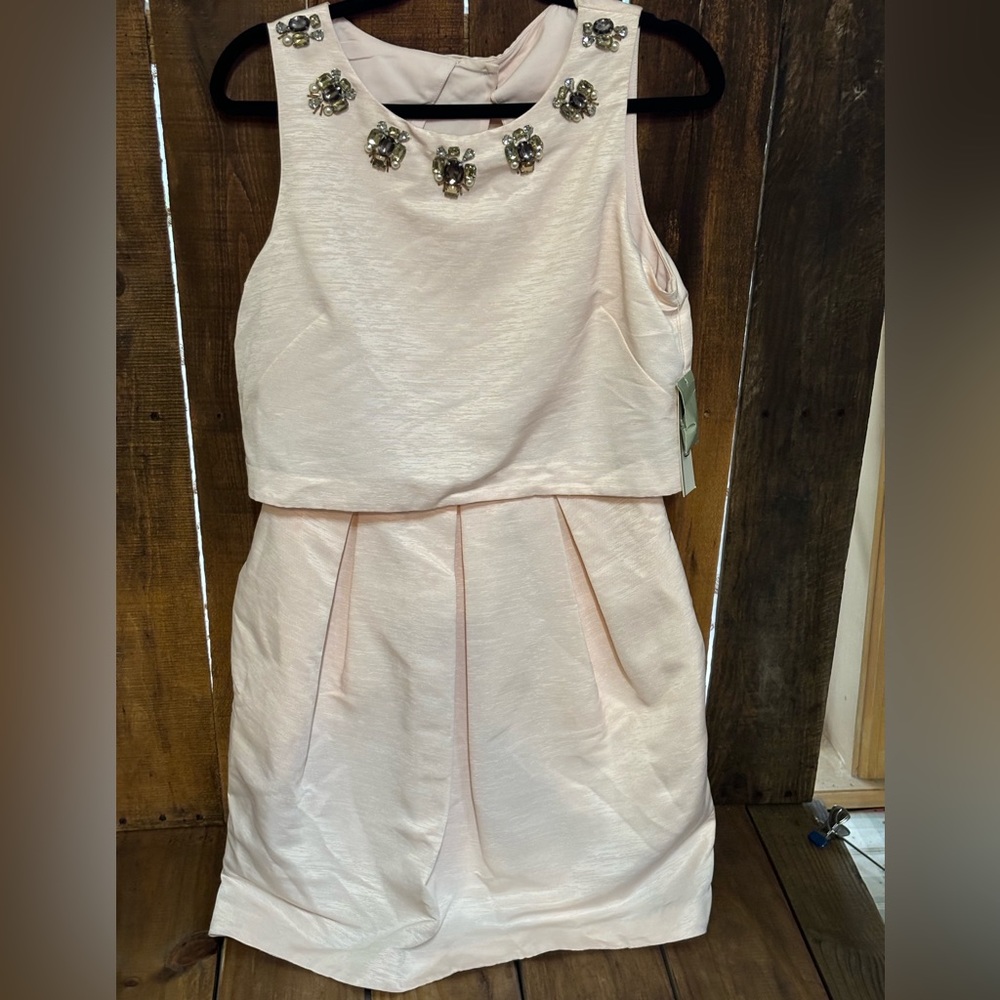 Embellished Sleeveless Blush Pink Cocktail Dress